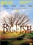BigFish
