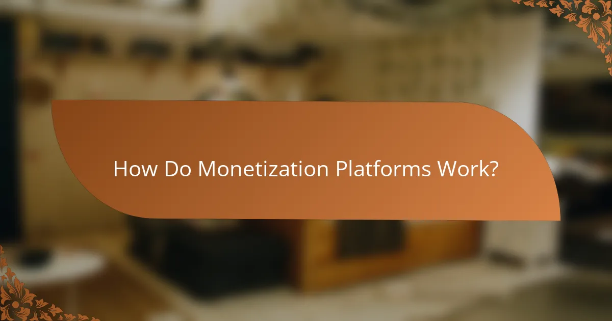 How Do Monetization Platforms Work?