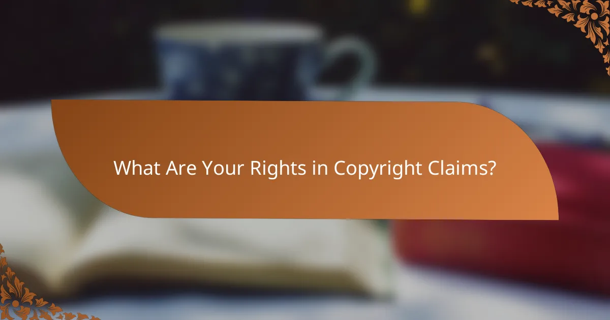 What Are Your Rights in Copyright Claims?